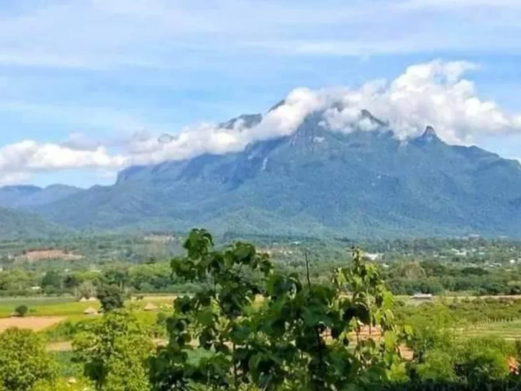 ขายที่ดินเนินดอยเชียงดาว ดอยหลวง ครอบครอง 30ปี