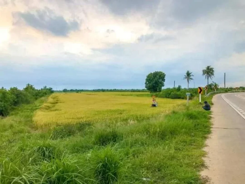 ขายที่ดินทำเลดีราคาถุก 5 ไร่ ติดถนน นบ3017 เหมาะทำธุระกิจมากๆ ตขุนศรี อไทรน้อย จนนทบุรี