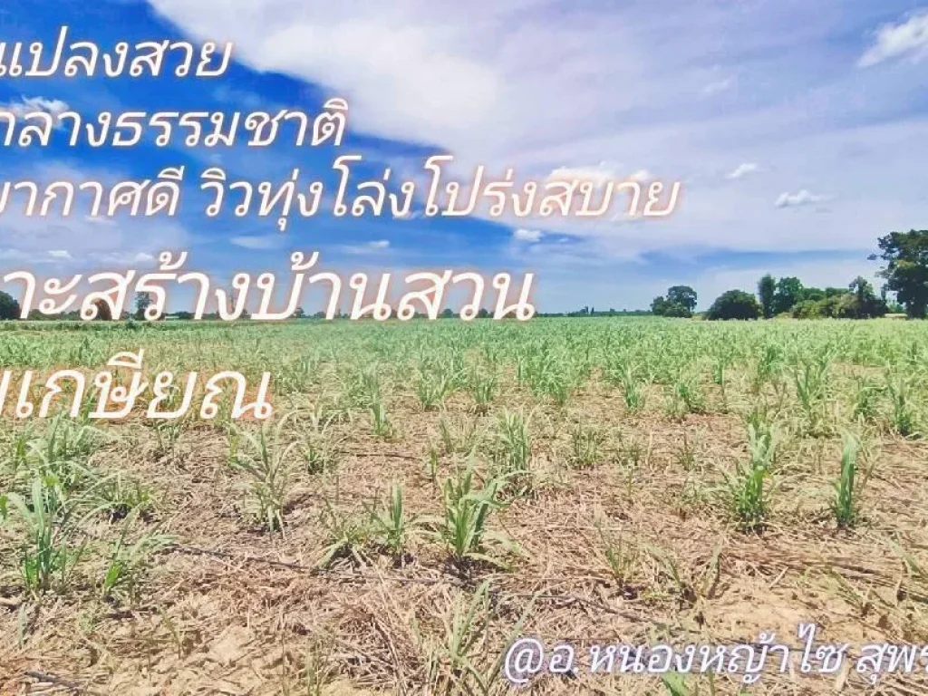 ขายที่ดินสวย จสุพรรณ เหมาะสร้างบ้านสวน มีน้ำไพพร้อมโฉนดครุฑแดง