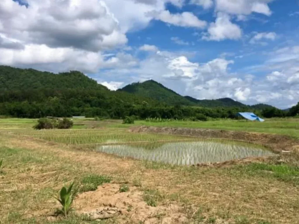 ขายที่ดินวิวทุ่งนา วิวภูเขา สะเมิงใต้ สะเมิง โฉนดนส4จ