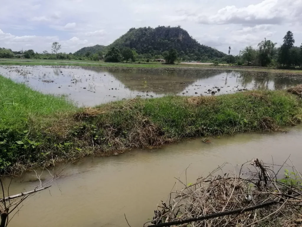 ขายทีีดินเป็นที่นาวิวสวย โพธาราม ราชบุรี