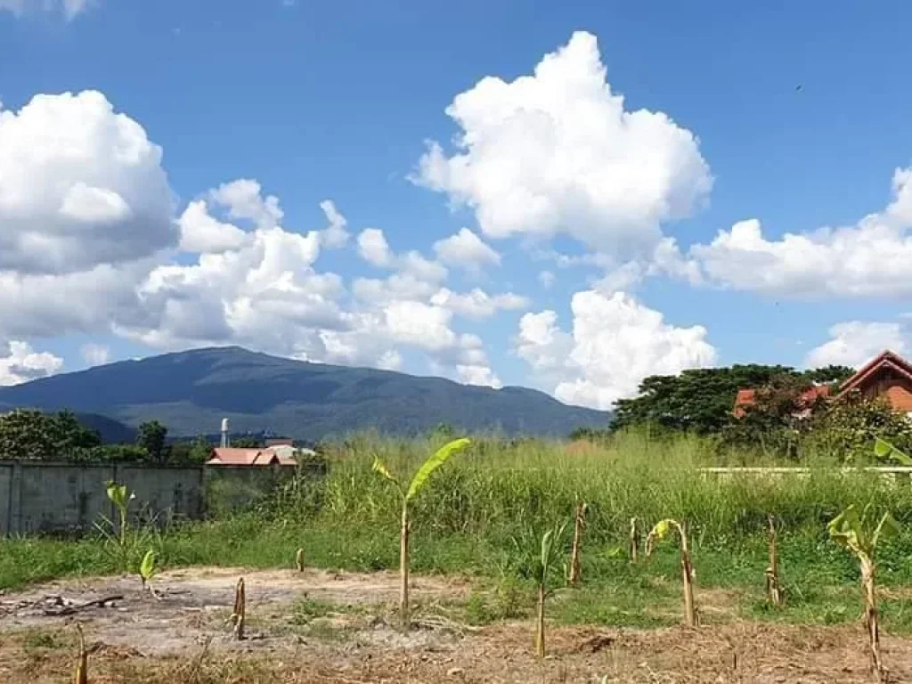 ขายที่ดินวิวดอยสุเทพ หนองควาย หางดง พร้อมโอน