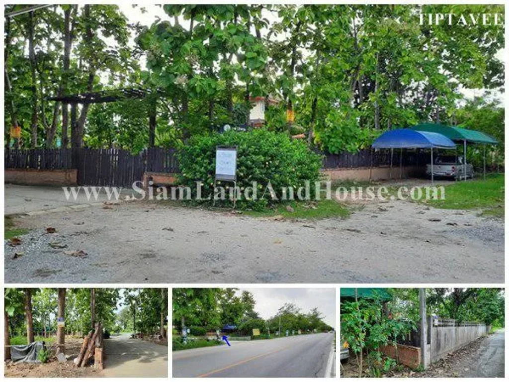 22418 ขายที่ดินเชียงใหม่ ที่ดินถนนเลียบทางรถไฟ ยางเนิ้ง สารภี Sale Land on Railway road YangNoeng Saraphi Chiangmai