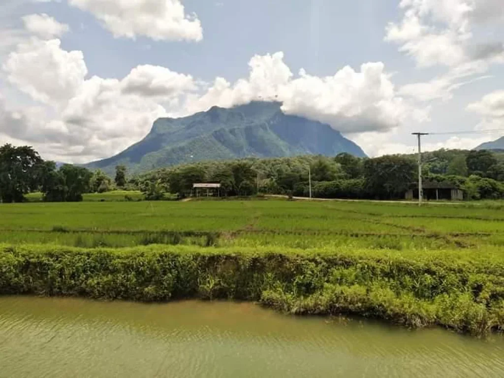 ขายที่นา บ้านทุ่งละคร วิวดอยหลวง เชียงดาว โฉนด