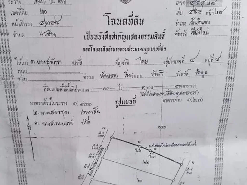 ที่นา 3ไร่ 3 งาน