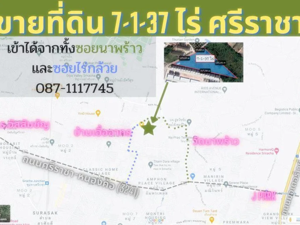 ขาย ที่ดิน ศรีราชา หนองค้อ 7 ไร่กว่า