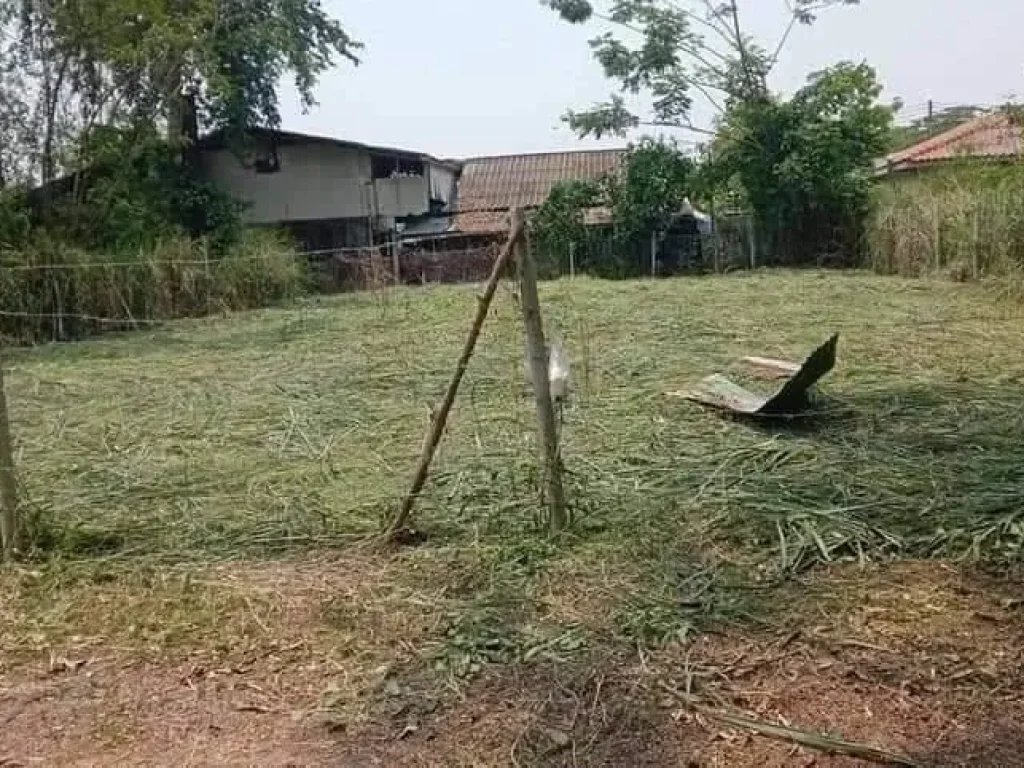 ขายที่ดินสันกลาง สันกำแพง บ้านมอญ เรือนแพ ถนนคอนกรีต