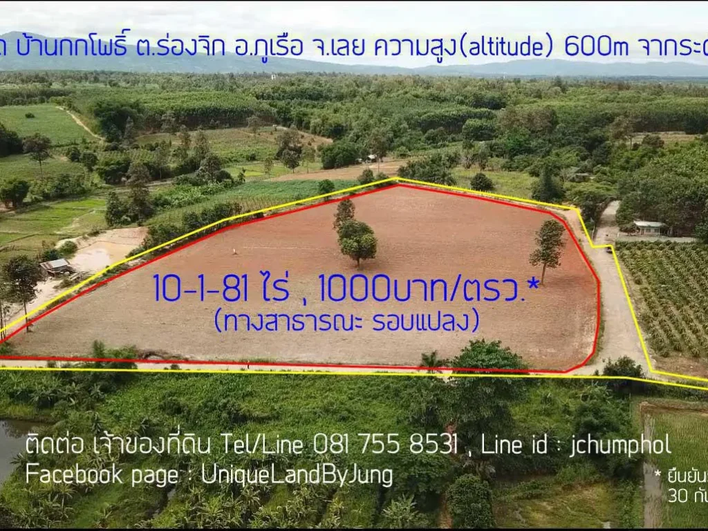 ที่ดินโฉนด ที่ดินบนเนินเขา ที่ดินวิวเขา 10-1-81ไร่ ทะเลภูเขา ที่ดินภูเรือ จเลย ทางสาธารณะรอบแปลง