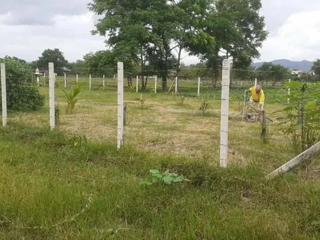 ขายที่ดินร้องวัวแดง ติดลำเหมือง วิวภูเขา พร้อมโอน