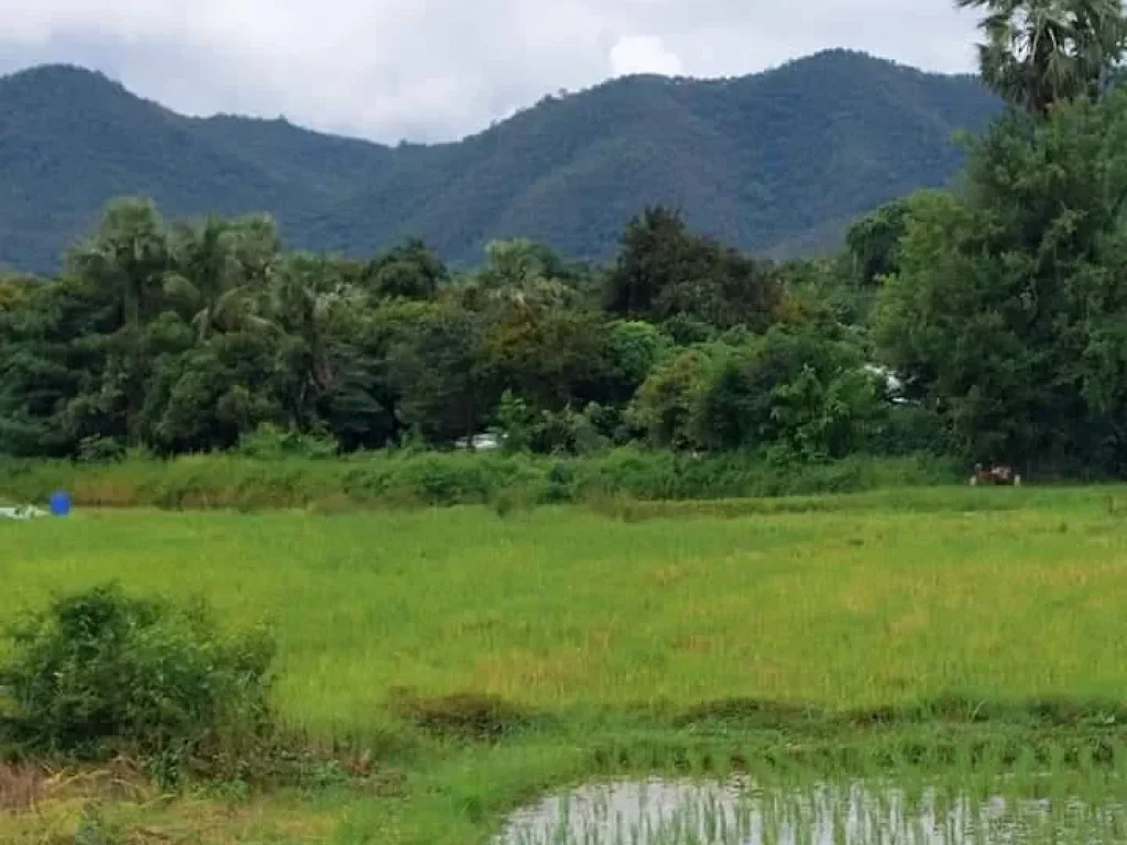 ขายที่นาวิวภูเขา ติดคลองชลประทาน ออนใต้ สันกำแพง