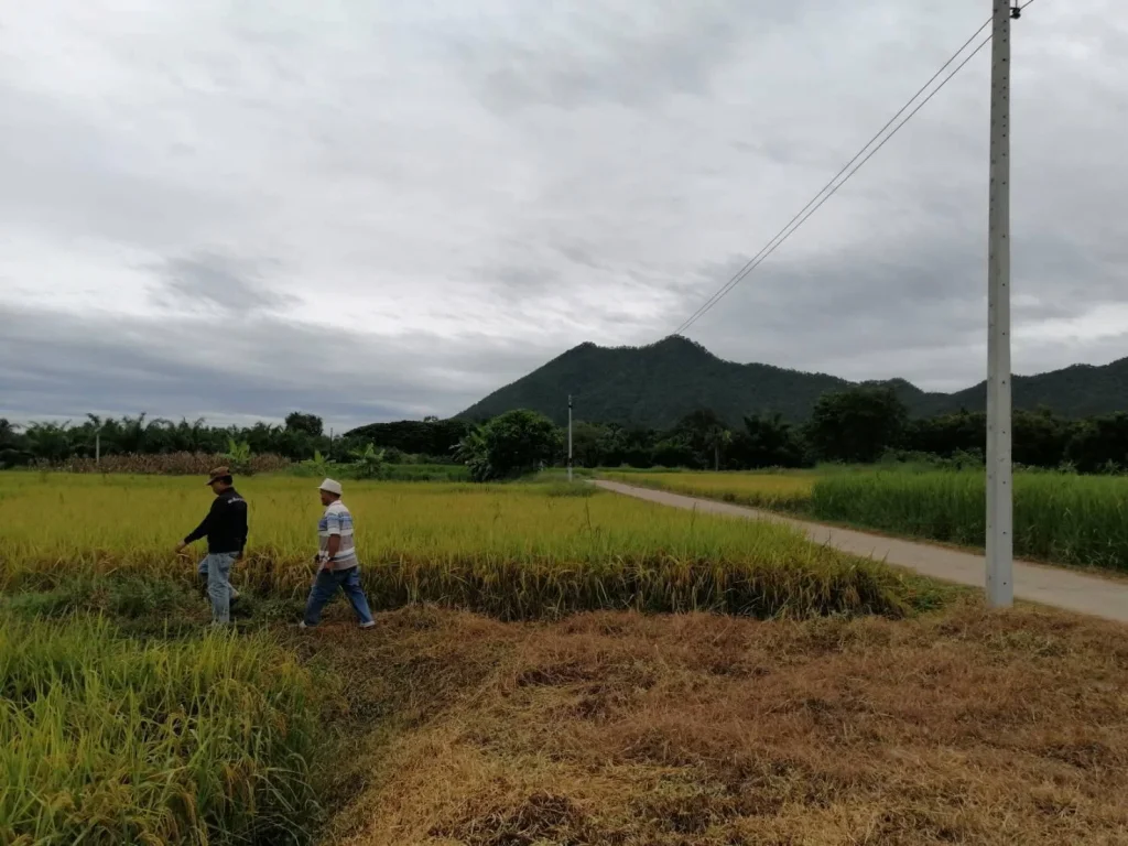 ขายที่ดินสวยๆสำหรับสร้างบ้านทำที่พักตากอากาศ โฉนด 2 ไร่ 2 งาน 9 ตรว อเชียงคาน