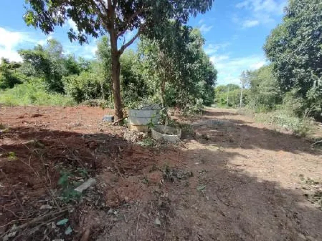 ขาย ที่ดิน บนเนินเขา พลูตาหลวง สัตหีบ เขาหมอน 50 ตรวา ใกล้สนามบินอู่ตะเภา