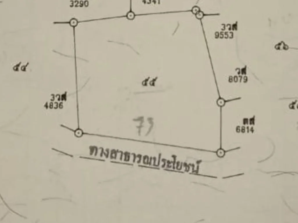 ขายที่ดิน 2 ไร่ 3 งาน 49 ตรว