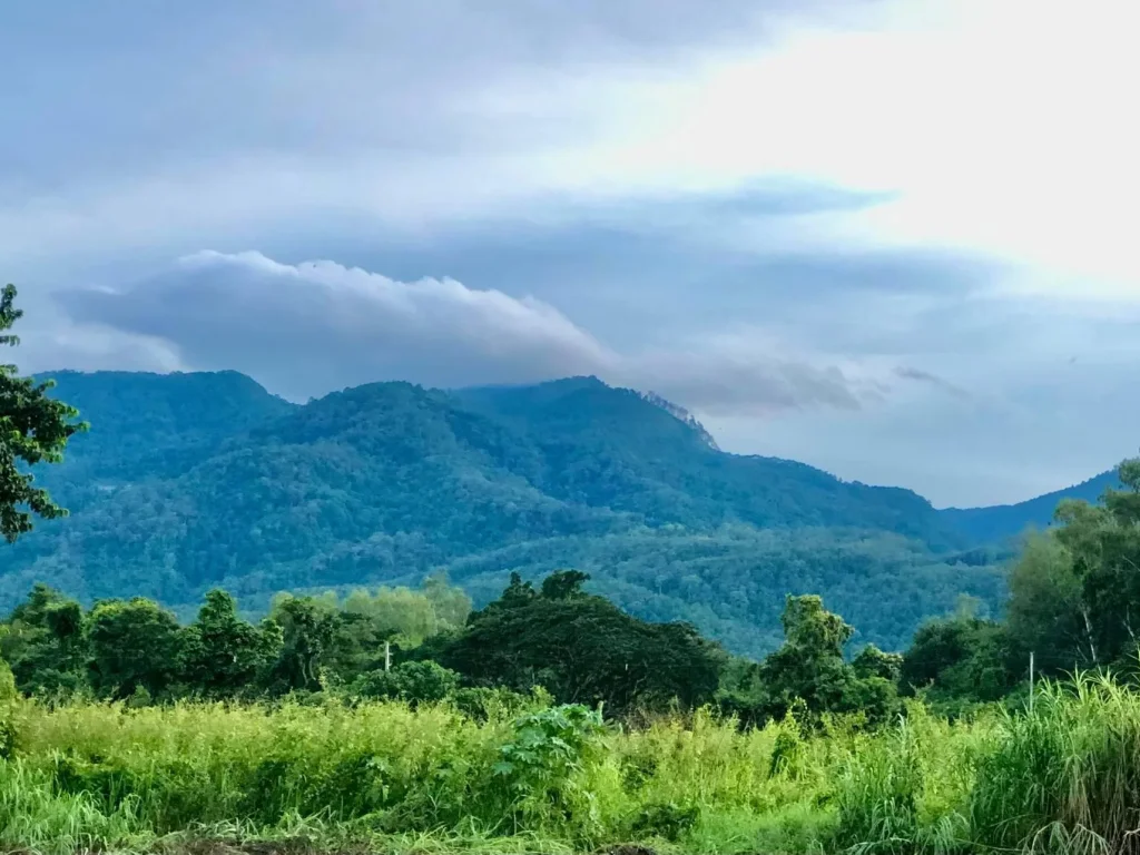 ที่ดินติดแม่น้ำ อแม่ริม เชียงใหม่ ใกล้เมือง วิวดอยสุเทพ