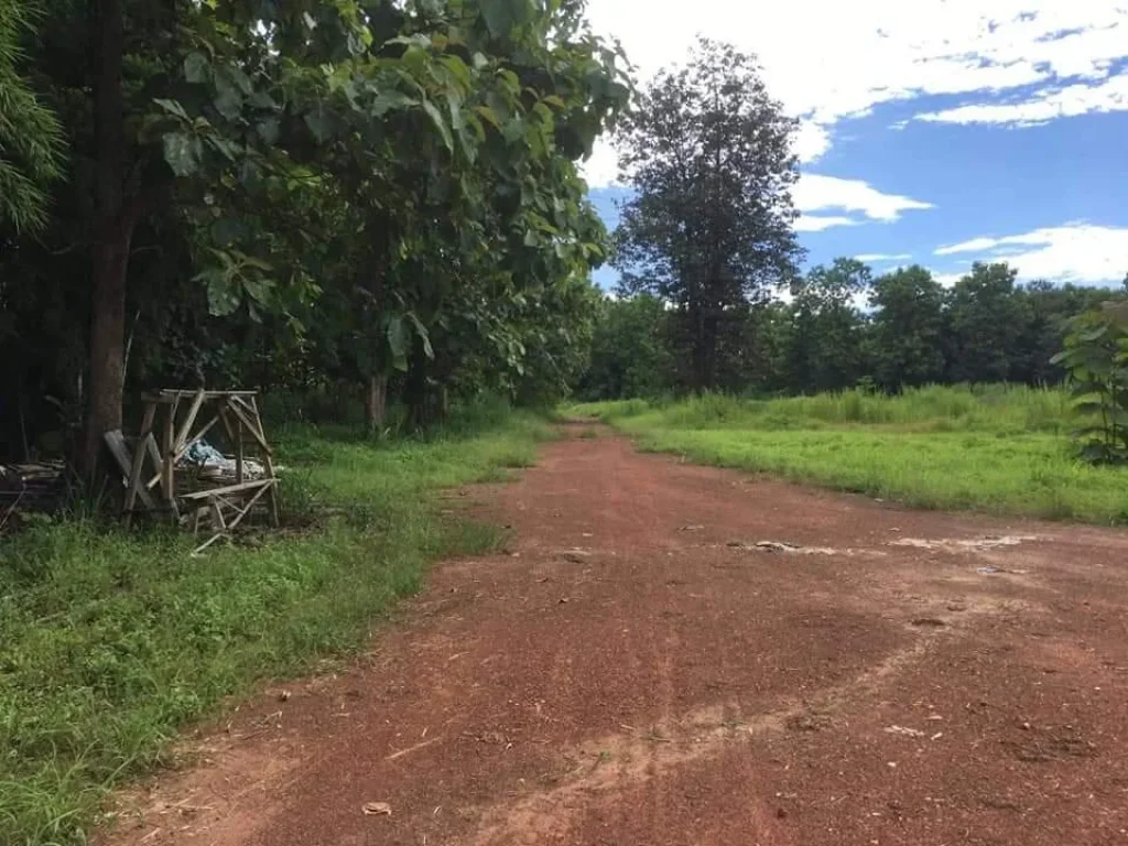 ขายที่ดินใกล้โรงเรียนสีนทราย สวนนงนุชซอย 1