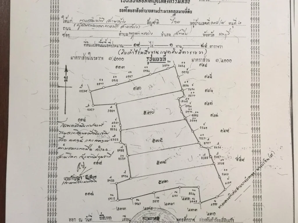 ขายที่ดิน 19 ไร่