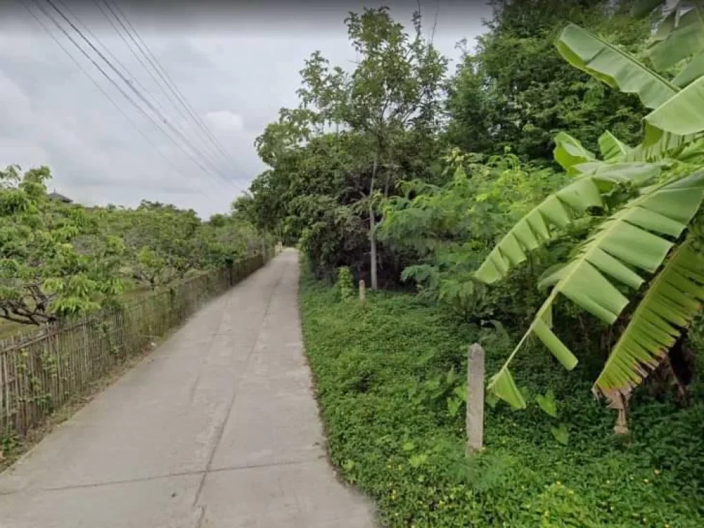 ขายที่ดินบ้านป่าบงสารภี หลังบริษัทน้ำกลาเซียร์ พร้อมโอน