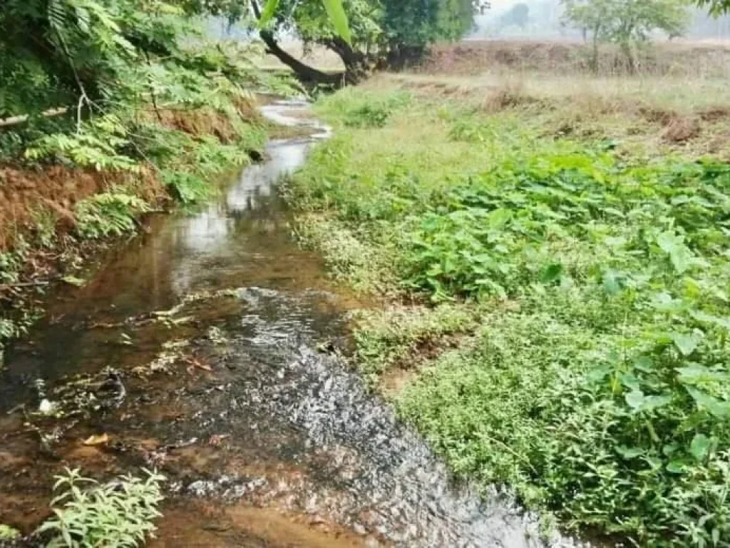 ขายที่นา วิวดอย สะเมิงเหนือ ติดลำห้วย พร้อมโอน