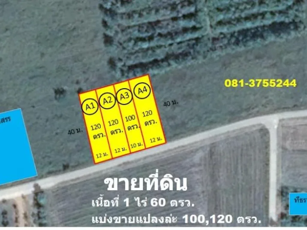 ขายถูกสามารถจับต้องได้ ที่ดิน 100 ตรว ระยอง แกลง สุนทรภู่ ใกล้ทะเลหาดแม่พิมพ์ 8 นาที