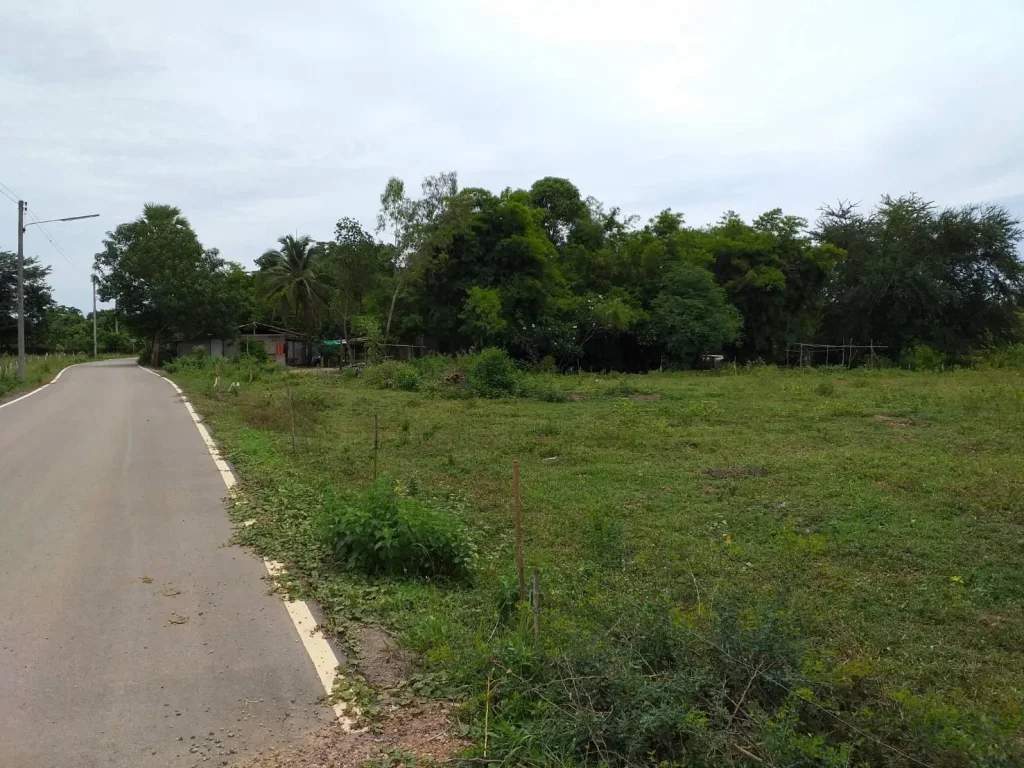 ขายที่ดินสวยโฉนด5ไร่ติดถนนลาดยางไฟฟ้าน้ำประปาพร้อมเหมาะปลูกบ้านทำการเกษตรต่อรองได้