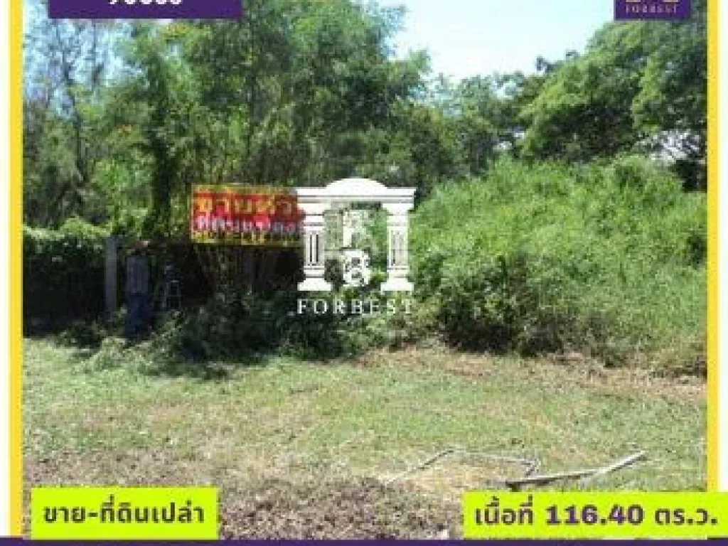 ขาย ที่ดิน รหัส90035 ขาย-ที่ดินเปล่า 1164 ตรวา บรรยากาศเงียบสงบ น่าอยู่