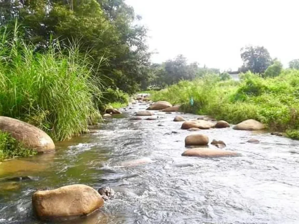 ขายที่ดินติดธารน้ำ ติดถนนสาย 118 โฉนดพร้อมโอน