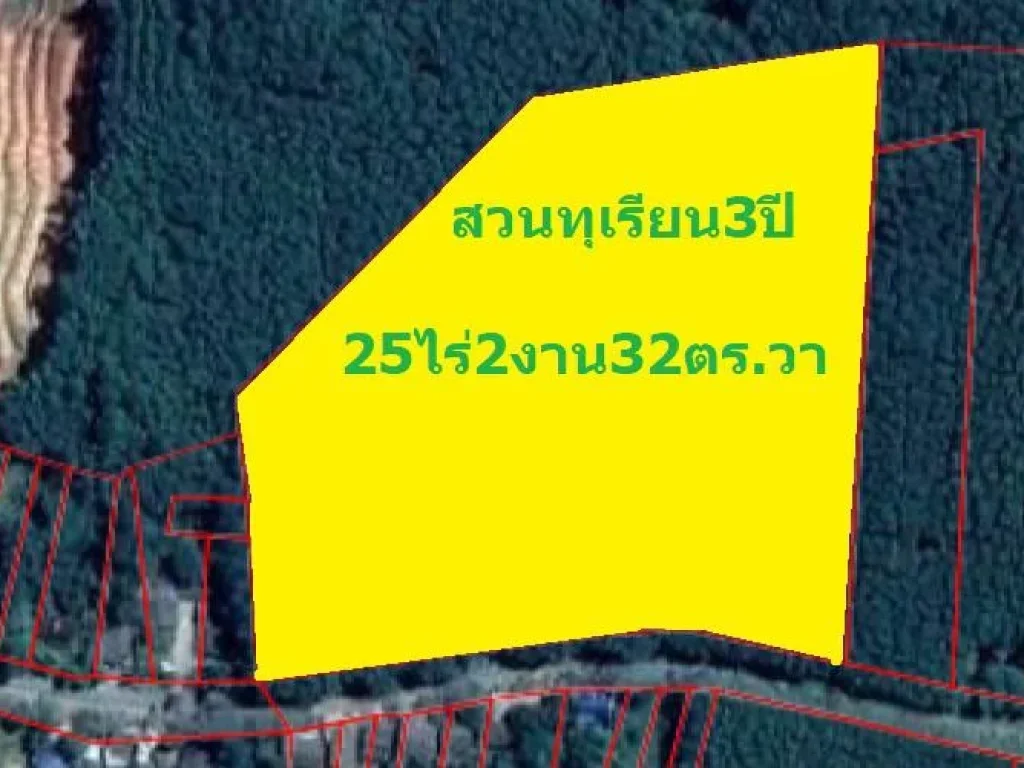 ขายสวนทุเรียน 3ปี 25ไร่2งาน32ตรวาขาย25000000ติดถนนลาดยาง โฉนดอยู่ใกล้วัดบ่อกรัง ตท่าสะท้อน พุนพิน โทร0877195045