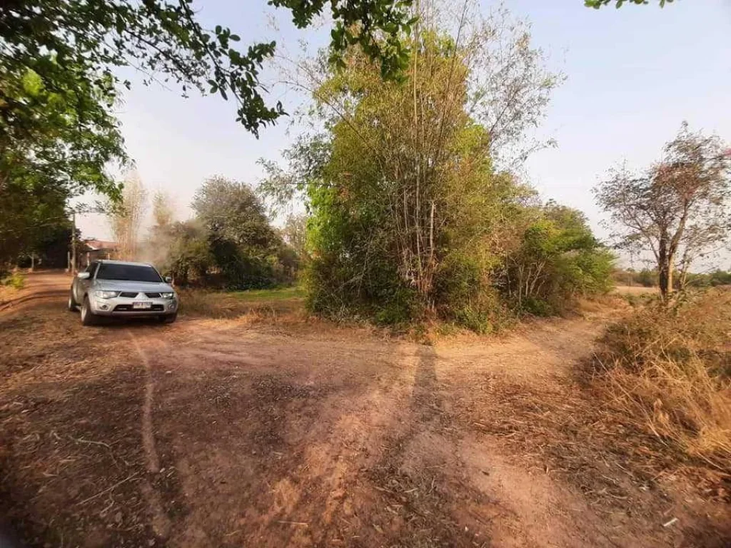 ขายที่ดินใกล้โรงเรียนปราจีนบุรี ขายที่ดินกบินทร์บุรี 136 ตรว ใกล้ถเส้นสุวรรณศร 33 1 กม จปราจีนบุรี