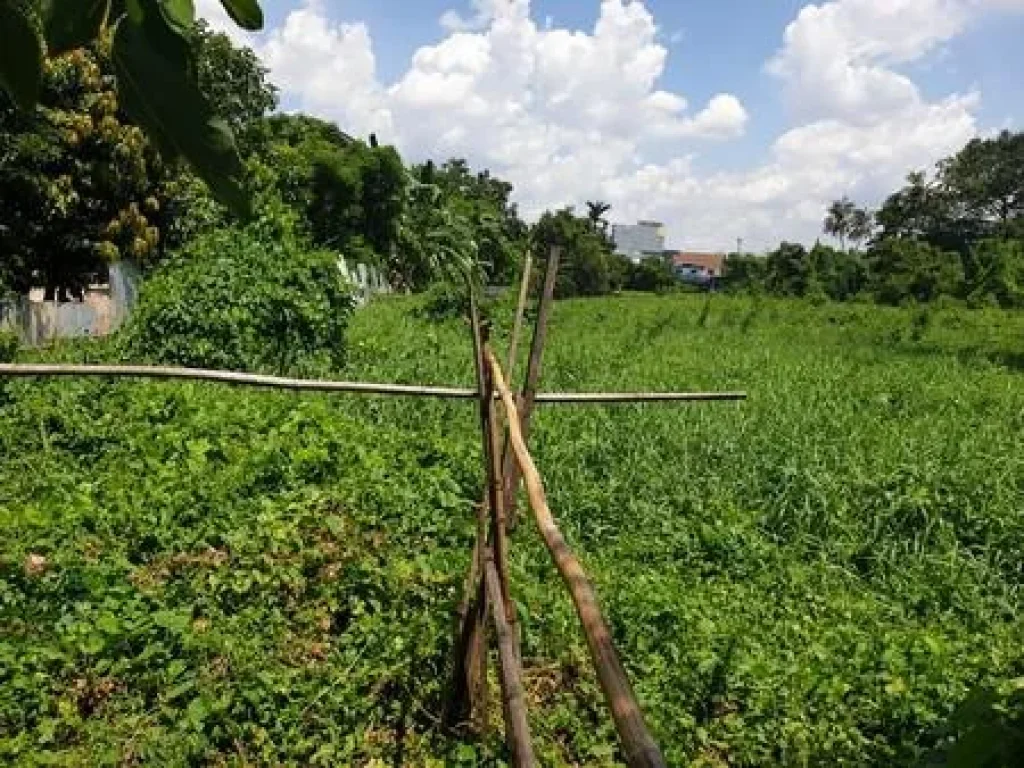 ขายที่ดินเปล่า 1 ไร่ จังหวัดนนทบุรี