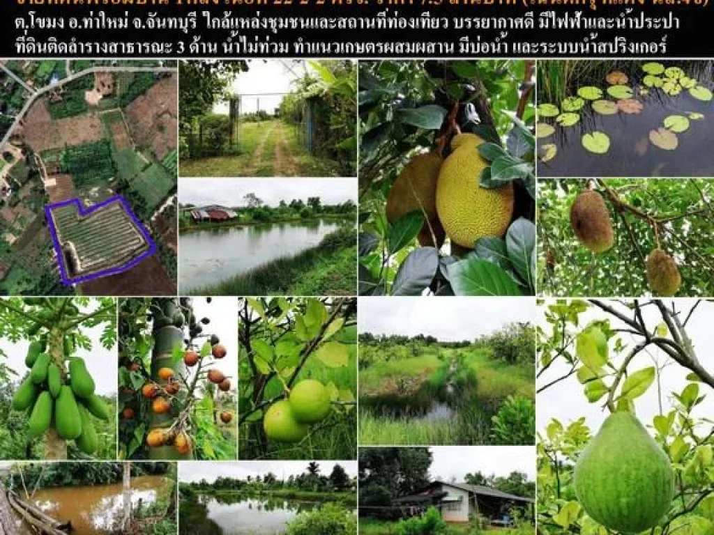 ขายที่ดินทำเลดี พร้อมสวน ท่าใหม่ จังหวัดจันทบุรี