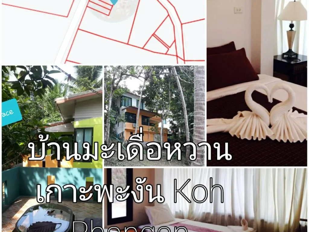 ที่ดิน สำหรับทำโครงการบ้าน หรือ รีสอร์ท วิวภูเขา