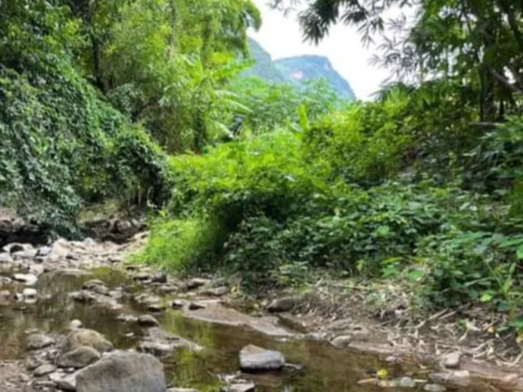 ขายที่ดินวิวดอย ติดริมน้ำบ้านแปะ จอมทองพร้อมโอน