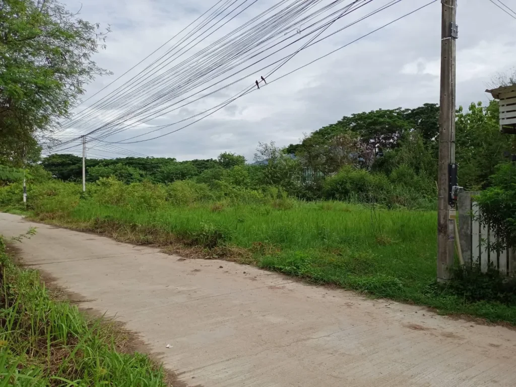 ขายที่ดินในหมู่บ้านชาวฟ้า หนองควายหางดง ราคาถูก