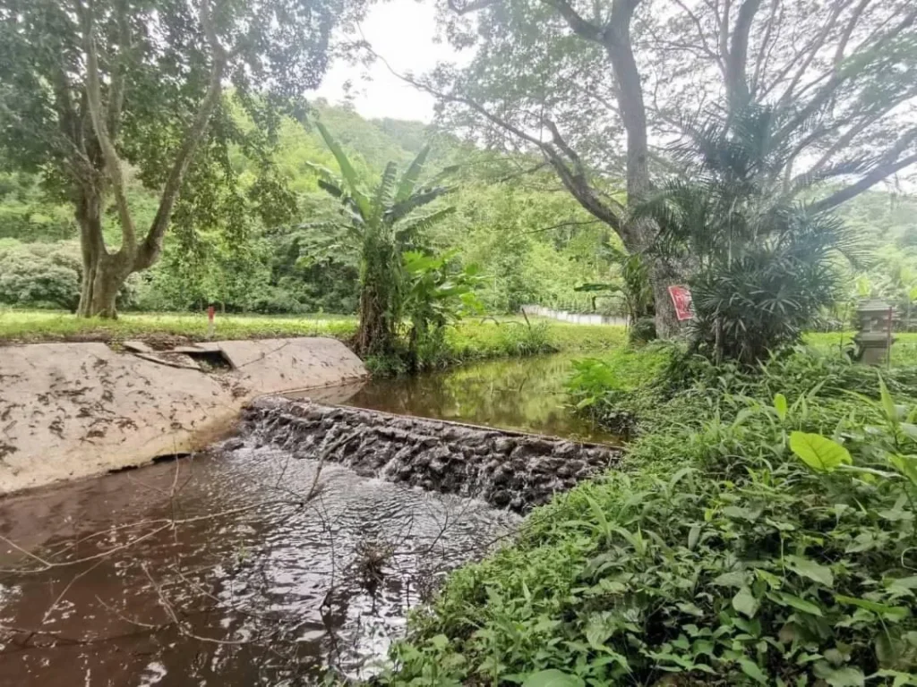 ขายที่ดินติดน้ำ น้ำแพร่่ติดถนนสามด้านหางดงพร้อมโอน