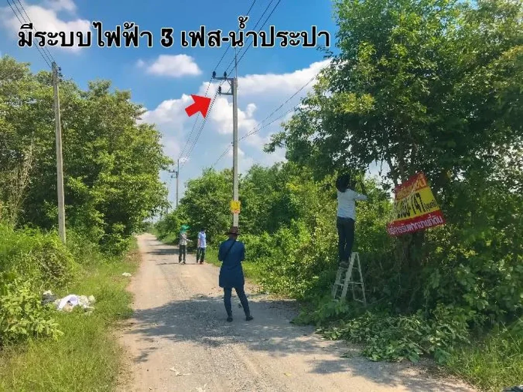 ขายที่ดินต่ำกว่าตลาด 2 ไร่ อคลองหลวง