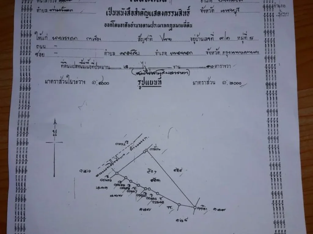 ขายด่วน- ที่ดิน อำเภอบ้านแหลม จังหวัดเพชรบุรี