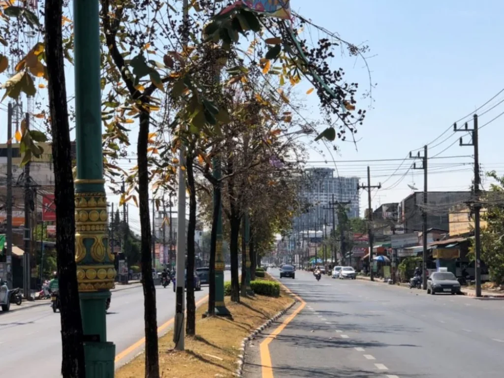 ขายที่ดินเปล่าถมแล้ว ใจกลางเมืองหาดใหญ่ ห่างถนน 20 เมตร