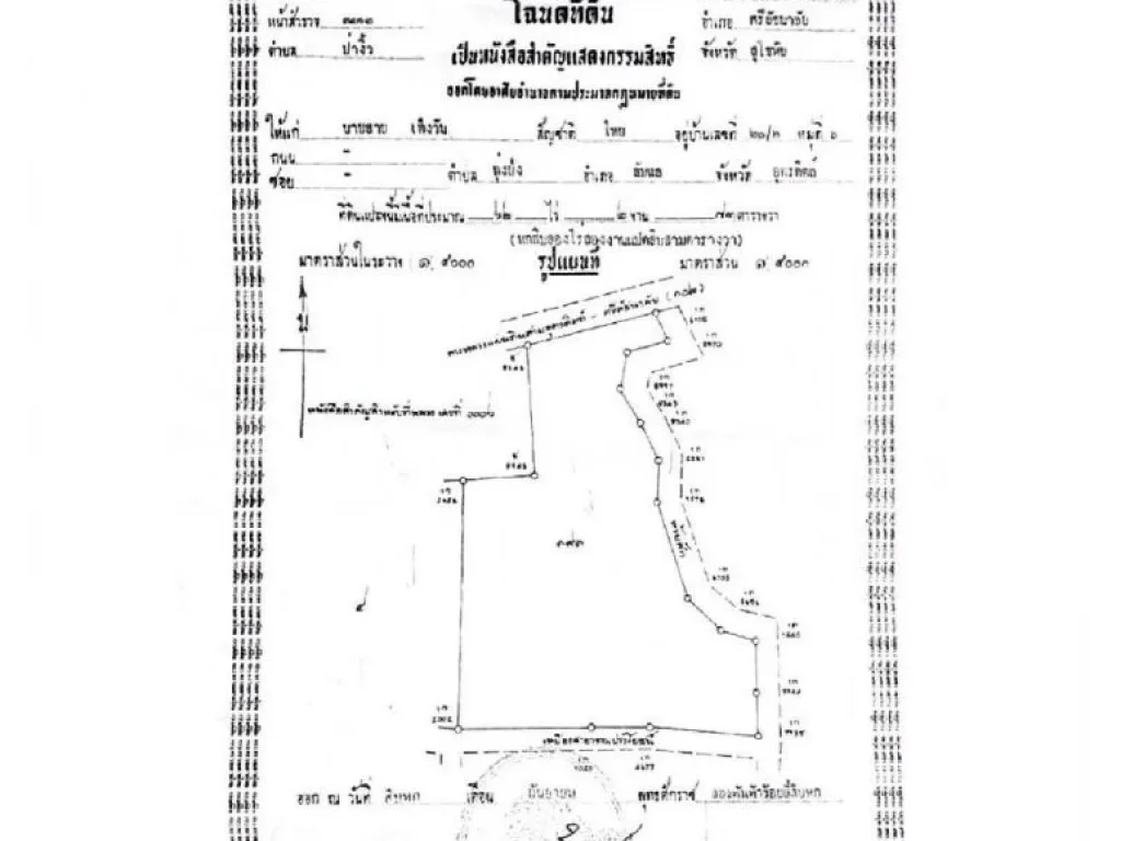 ขายที่ดิน 62-2-83 ไร่