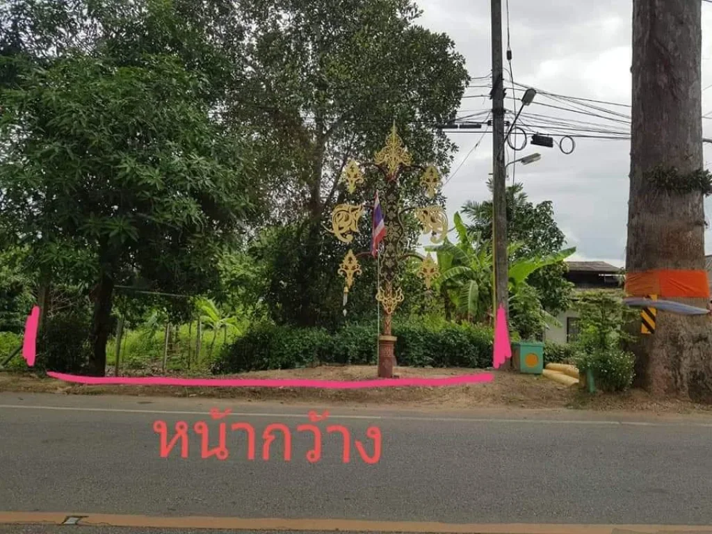 ขายที่ดินติดถนนต้นยาง ค้าขายได้ ราคาถูก