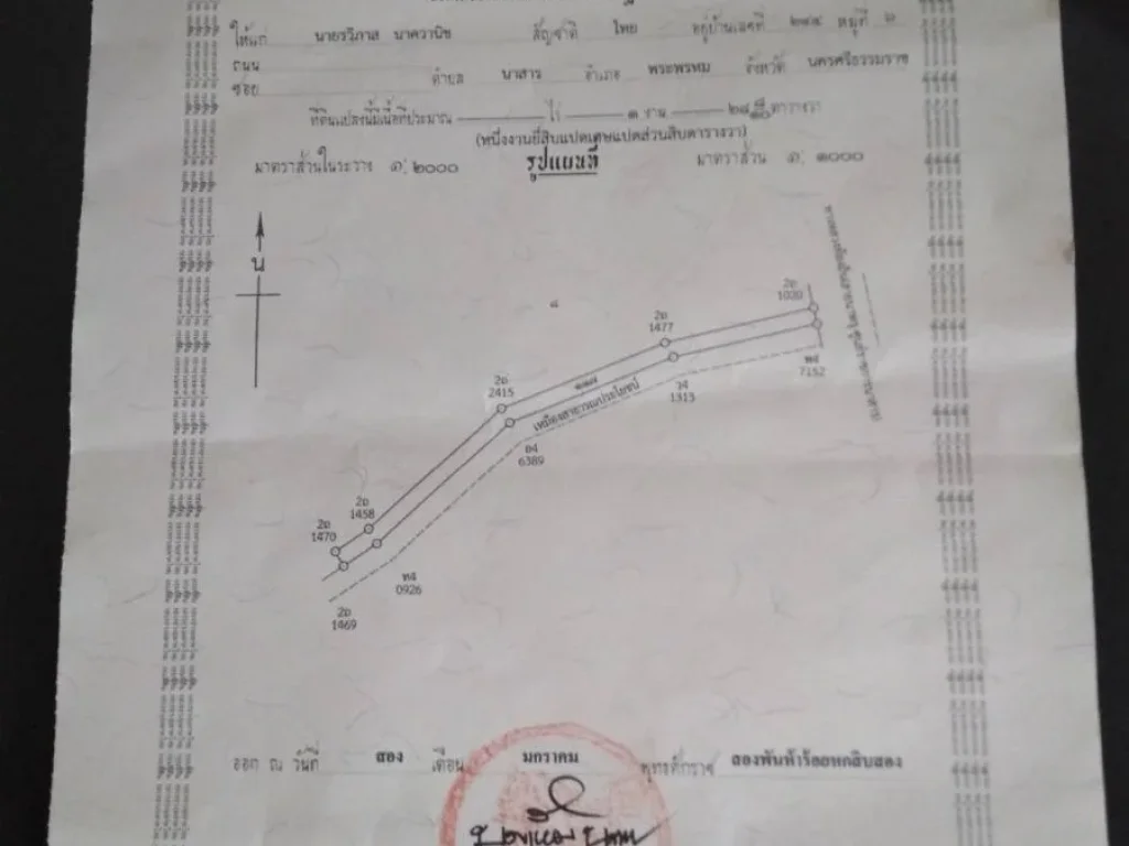 ขายที่ดิน 10 ไร่ มีโฉนด มีทางเข้าออก จนครศรีธรรมราช