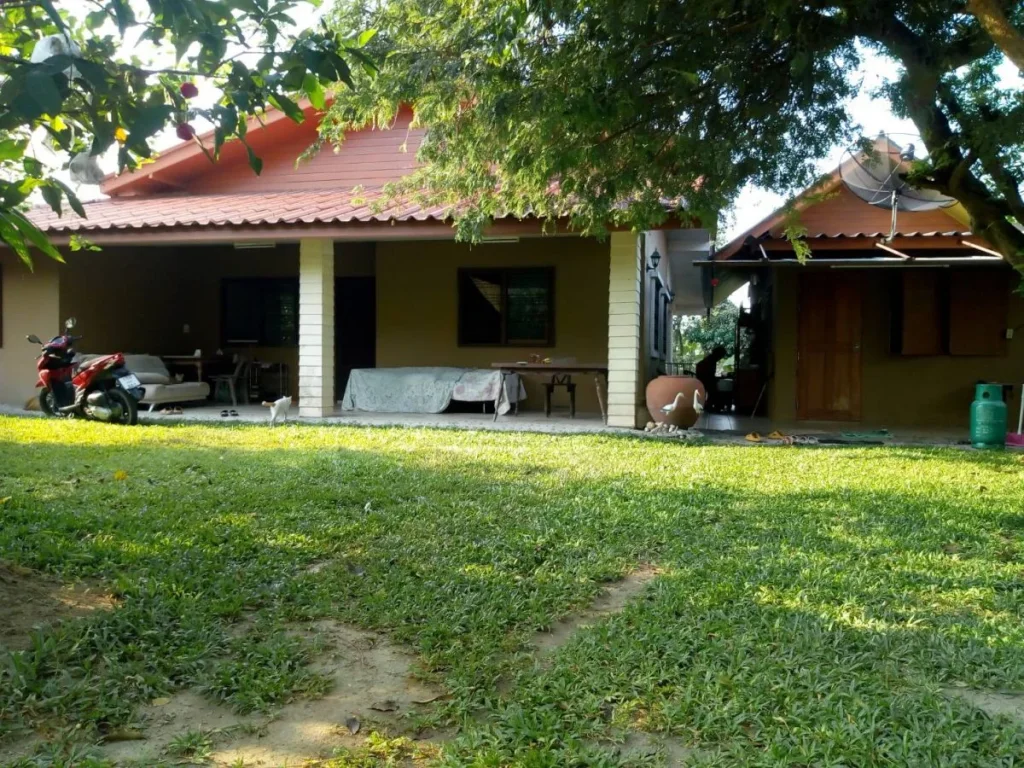 บ้านเดี่ยวให้เช่า 300 ตรว ตั้งอยู่เขตเมืองพัทยา-หนองปลาไหล Pattaya-nonplalai Single house for rent 300 SQWAH