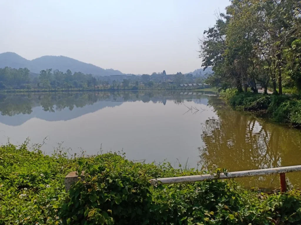 ขายที่ดินหลังมหาลัย แม่ฟ้าหลวง ติดคลอง เหมาะกับเปิดร้านกาแฟ