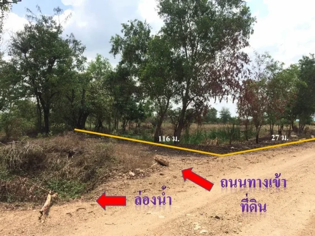 ขายที่ดินเปล่า 2 ไร่ 1 งาน 27 ตรว คลองสี่ คลองหลวง จปทุมธานี ใกล้วัดพระธรรมกาย