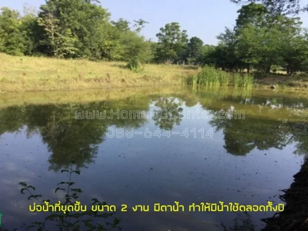 ขายถูกมาก ที่ดิน 16 ไร่ ตหนองประดู่ อเลาขวัญ จกาญจนบุรี