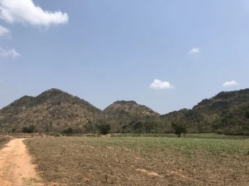 ขายที่ดินเปล่า วิวสวยมาก เหมาะสำหรับทำรีสอร์ท ฟาร์ม เกษตร จังหวัดราชบุรี เนื้อที่ 973 ไร่