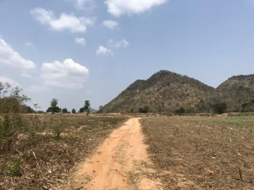 ขายที่ดินเปล่า วิวสวยมาก เหมาะสำหรับทำรีสอร์ท ฟาร์ม เกษตร จังหวัดราชบุรี เนื้อที่ 973 ไร่