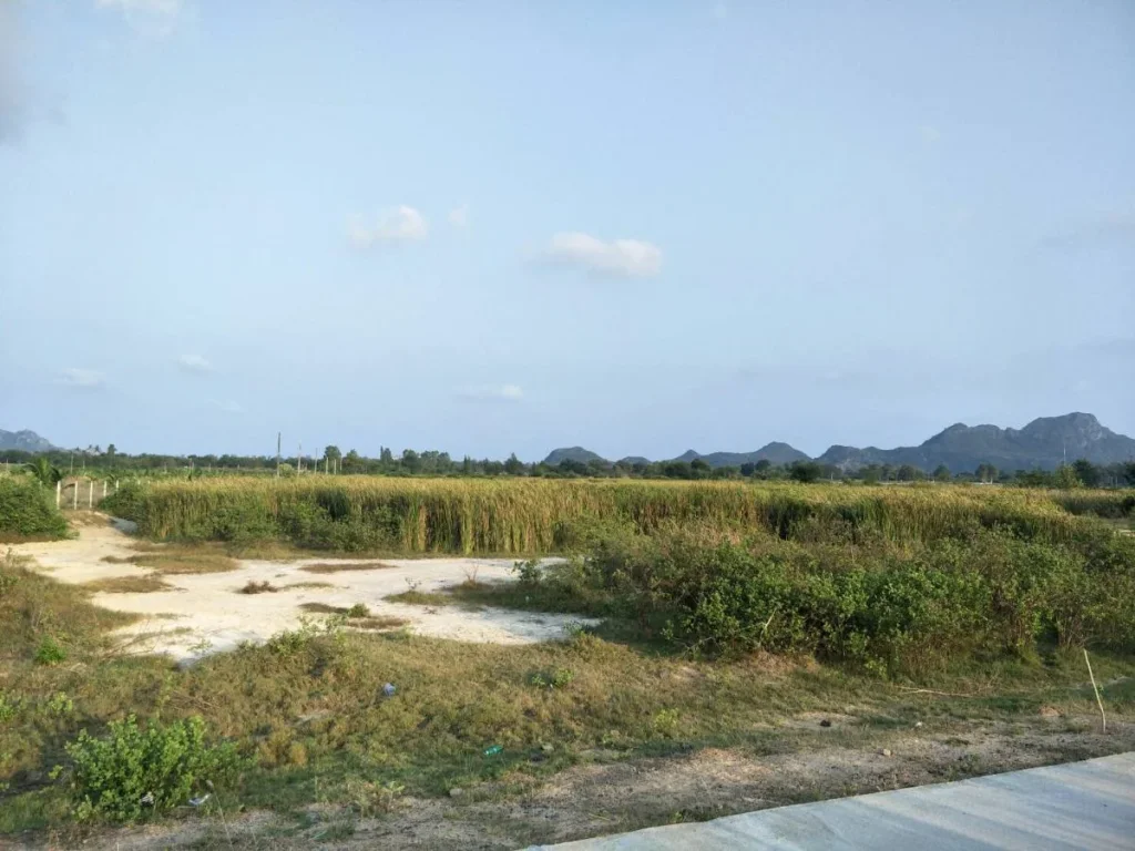 Land for Sale ขายที่ดินแปลงนี้ 19 ไร่ 3งาน ตเกาะหลัก เมืองประจวบ ราคาไร่ล่ะ 700000 บาท