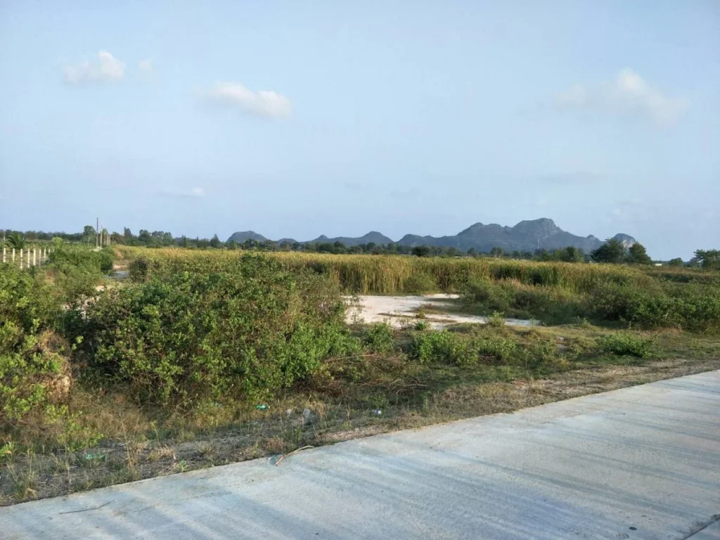 Land for Sale ขายที่ดินแปลงนี้ 19 ไร่ 3งาน ตเกาะหลัก เมืองประจวบ ราคาไร่ล่ะ 700000 บาท