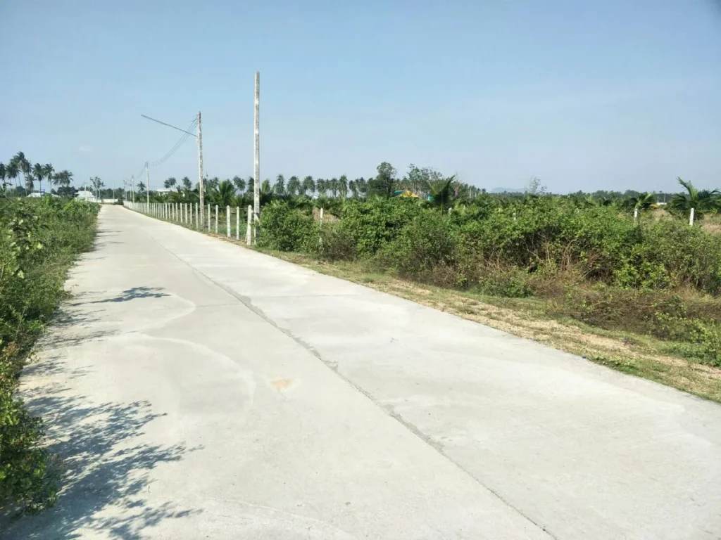 Land for Sale ขายที่ดินแปลงนี้ 19 ไร่ 3งาน ตเกาะหลัก เมืองประจวบ ราคาไร่ล่ะ 700000 บาท