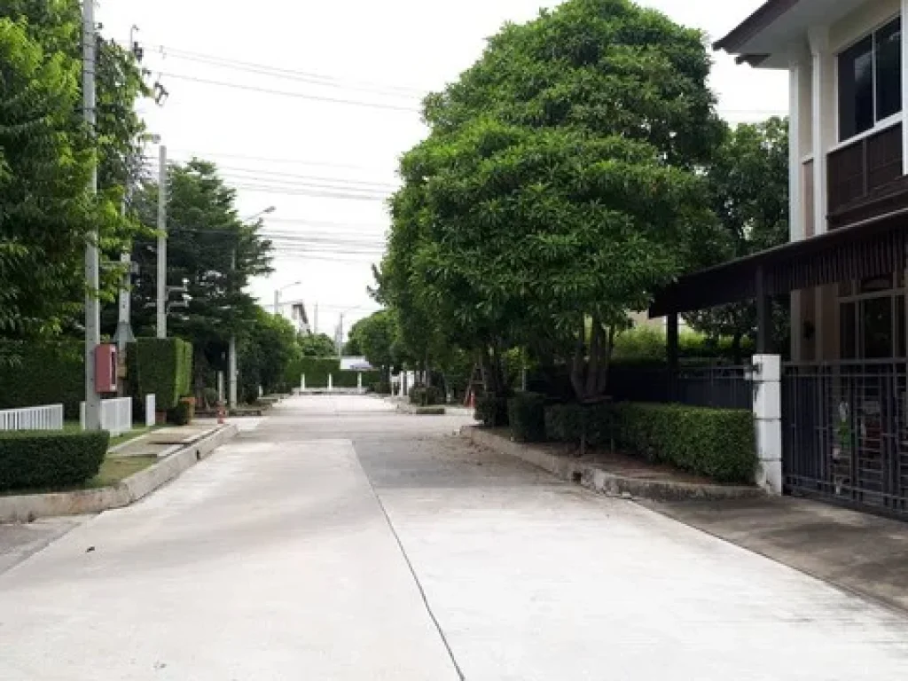 House For Sale The Centro Onnuch-Wongwan ฿ 17 Mบ้านเดี่ยวcentrocentro-อ่อนนุช-วงแหวน